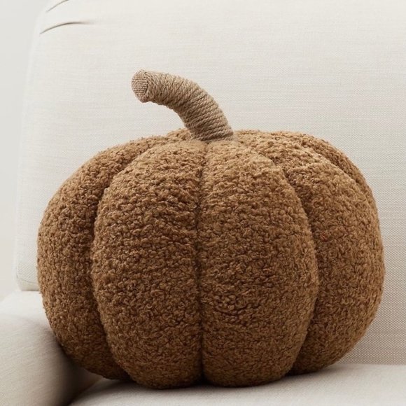 Pottery Barn Cozy Pumpkin Pillow Tobacco 9.5 x 14” - Picture 1 of 6
